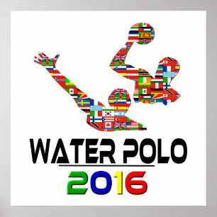 Poster 2016 : Polo de l'eau