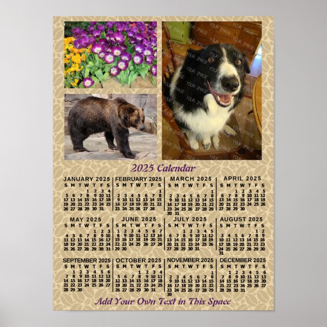 Poster 2025 Année Calendrier mensuel Café Haricots 3 Phot (Devant)