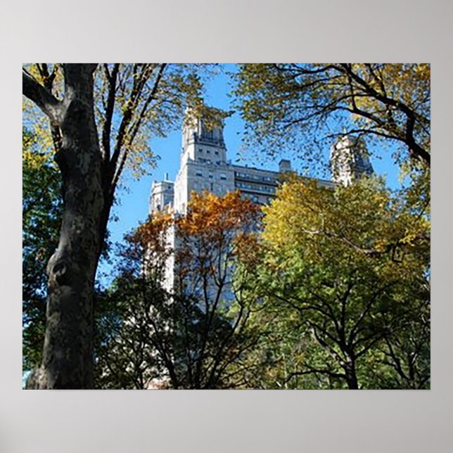 Poster 20 po x 16 po, papier d'affiche de valeur (Matte) (Devant)