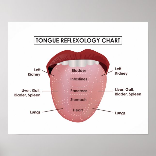 Poster 20" x 16", Carte de réflexologie de la langue (Mat (Devant)
