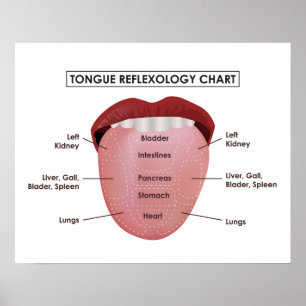 Poster 20" x 16", Tongue Reflexology Chart (Matte)