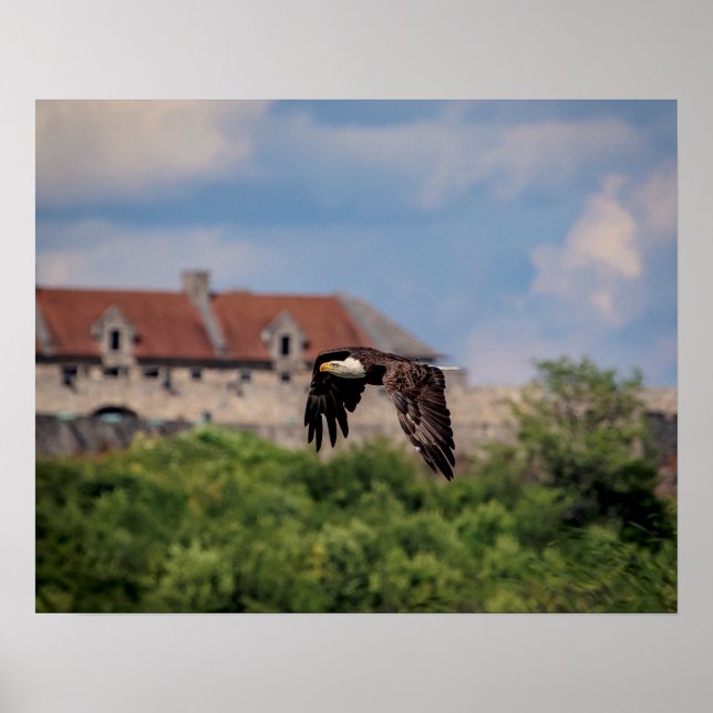 Poster 20x16 Aigle Bald passant par Fort Ticondéroga (Devant)