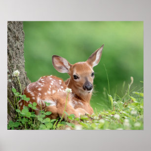 Poster 20x6 Fête adorable posée sous un arbre