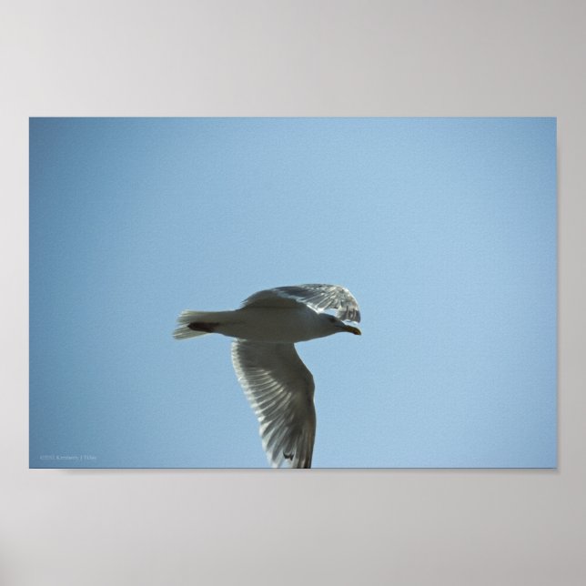 POSTER 2367 (Devant)