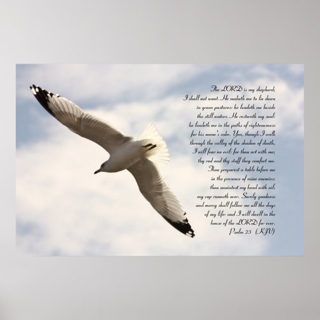 Poster 23e Verset biblique du Psaume avec la Mouette de M (Devant)