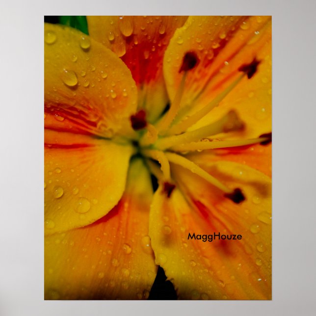 Poster 24 po x 24 po, papier d'affiche de valeur (Matte) (Devant)