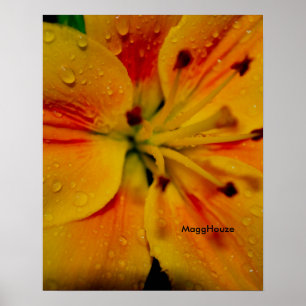 Poster 24" x 24", papier d'affiche de valeur (mat)