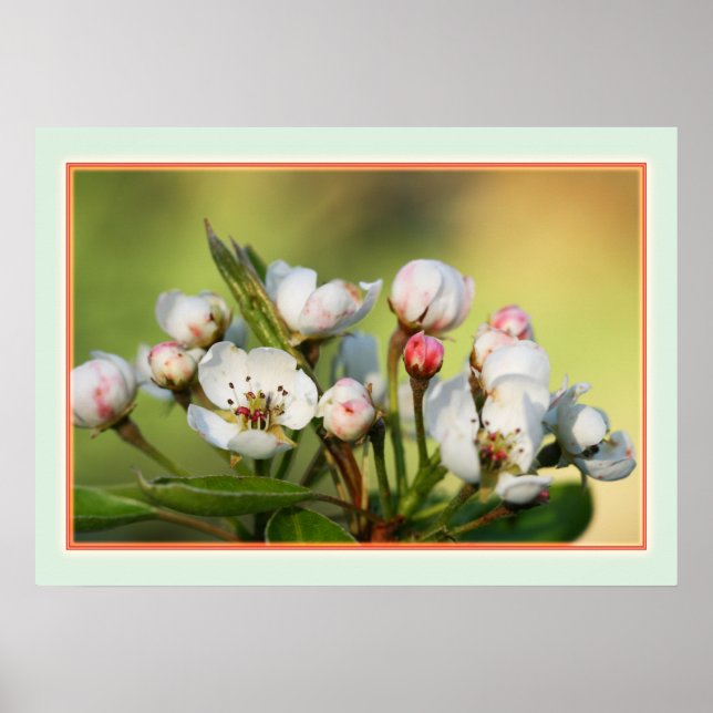 Poster 28 po x 20 po, papier d'affiche de valeur (Matte) (Devant)