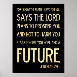 POSTER 29:11
