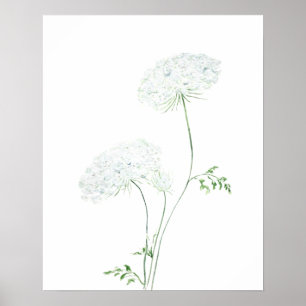 Poster 2 blanc Queen Ann Lace aquarelle