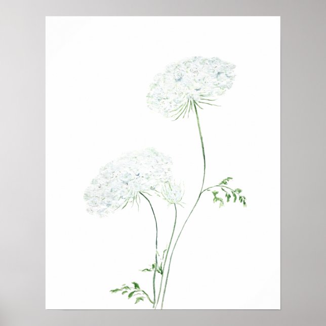Poster 2 blanc Queen Ann Lace aquarelle (Devant)