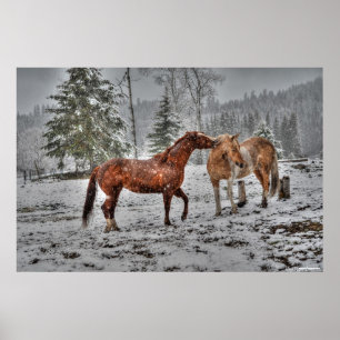 Poster 2 Chevaux de Ranch, Dun, Palomino Paint Photo