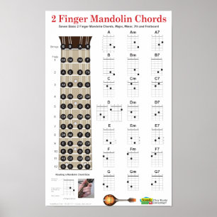 Poster 2 cordes et Fretboard de mandoline de doigt
