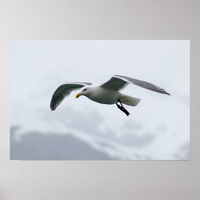 Poster 2 de Seagull (Devant)