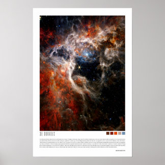Poster 30 Doradus (Tarantula Nebula, NGC 2070)