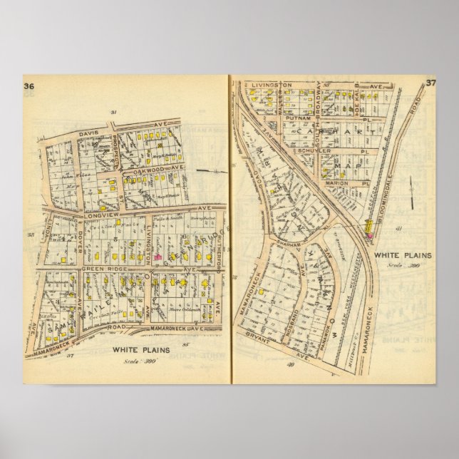 Poster 36-37 Plaines blanches (Devant)