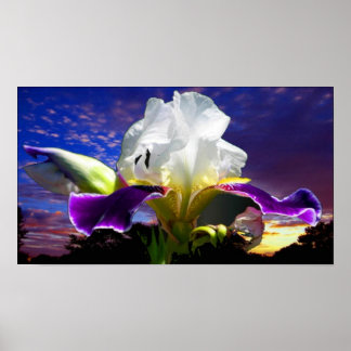 Poster 36 po x 24 po, papier d'affiche de valeur (Matte)
