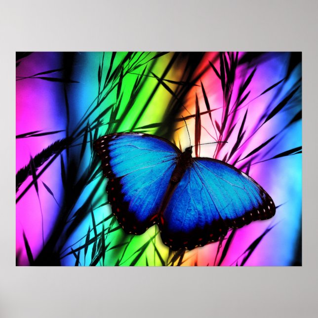 POSTER 370729 RAINBOW DIGITAL BUTTERFLY REALISM FICHE D'I (Devant)