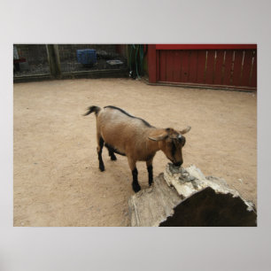 Poster 3 avril (11) Toile