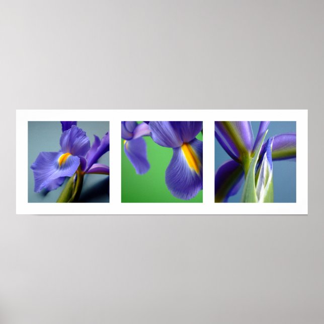 Poster 3 Iris (Devant)