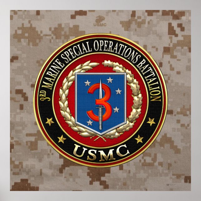 Poster 3e MSOB [3D] (Devant)