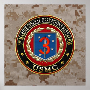 Poster 3ème MSOB [3D]