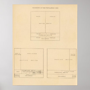 Poster 41 Elements of population 1900