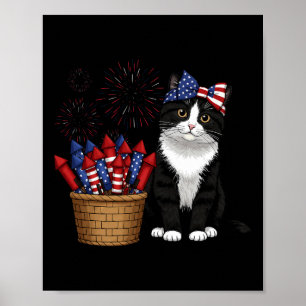 Poster 4 juillet Conception De Chat Et Feux D'Artifice Po
