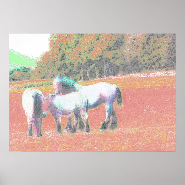 POSTER 53 (Devant)