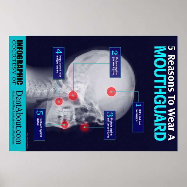 Poster 5 Raisons De Porter Une Garde-Mer (Devant)