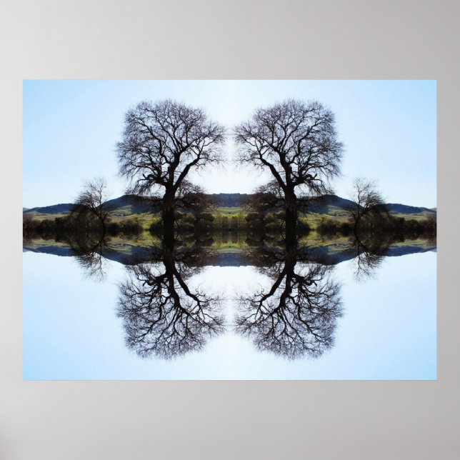 Poster 62914 Arbres fractaux (Devant)
