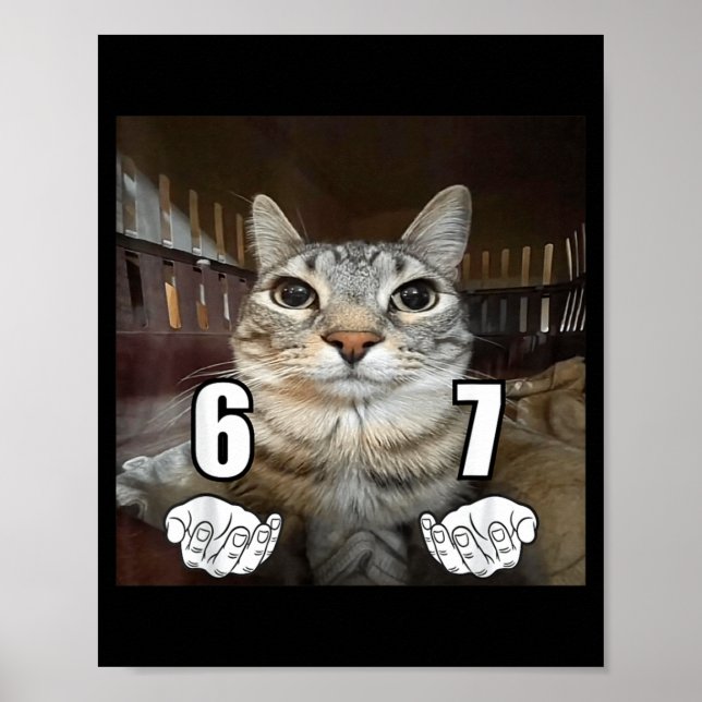 Poster 67 Meme Funny Cat Six Seven Meme 6 7  (Devant)