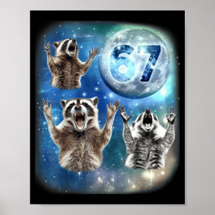 Poster 67 Meme Trois Raton Laveur Hurlement à la Lune 67 