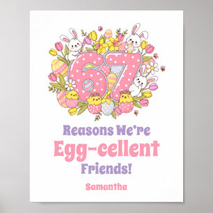 Poster 67 raisons pour lesquelles nous sommes des amis ex