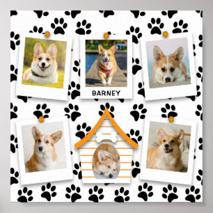 Poster 6 Photo Collage Nom Dog House Empreintes de pattes