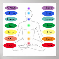 7 chakras 12 x 12 pouces