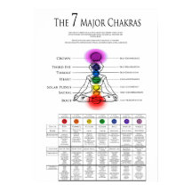 7 Major Chakra