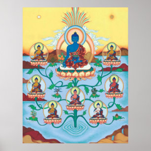 POSTER 8 Medicine Buddhas - ab 14,25 $