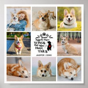 Poster 8 Photo Collage Animaux de compagnie Chien Perte S