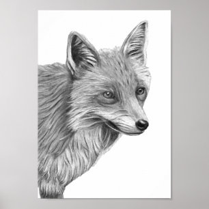 Poster A4 dessin au crayon rouge Fox Imprimer monochrome