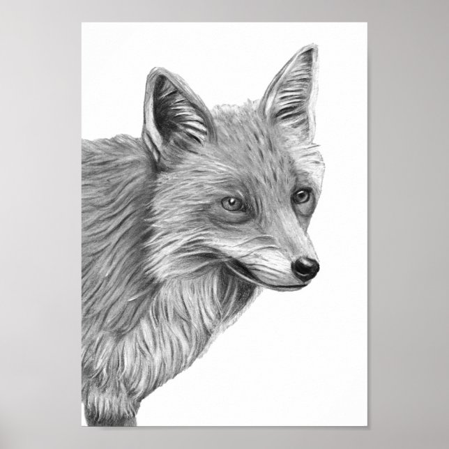 Poster A4 dessin au crayon rouge Fox Imprimer monochrome (Devant)