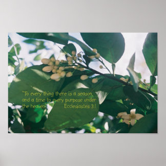Poster A chaque chose il ya une saison Ecriture