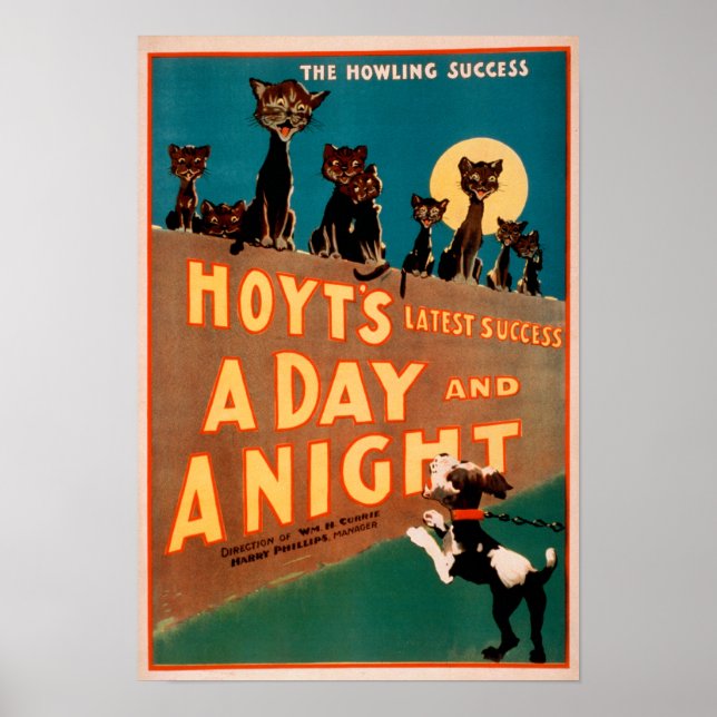 Poster "A Day and a Night" Chats et Chiens Musique (Devant)