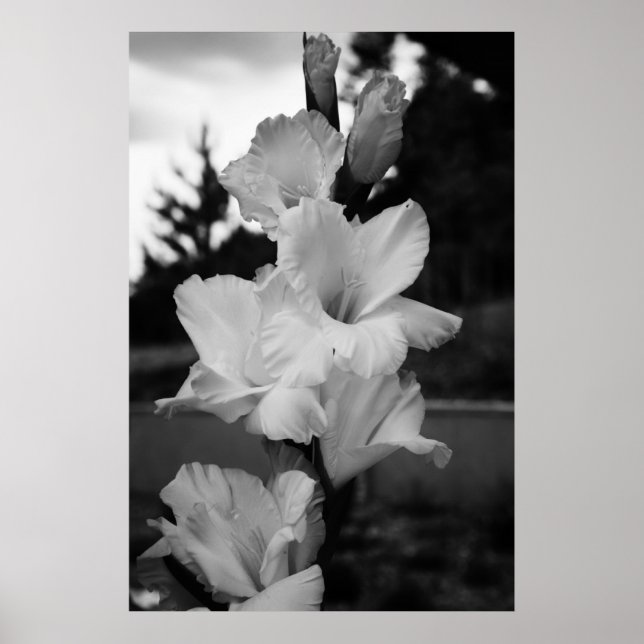 Poster à fleurs mariage (Devant)
