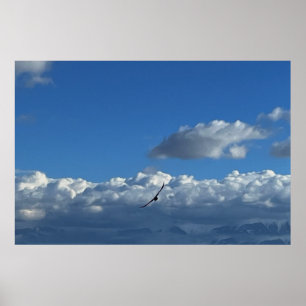 Poster A Flouds