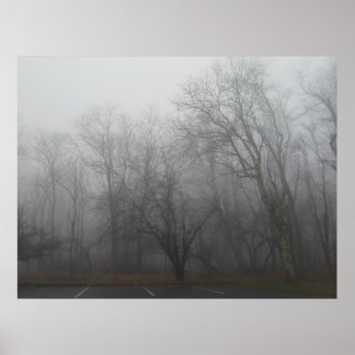Poster A foggy day on the Skyline Drive in Virginia