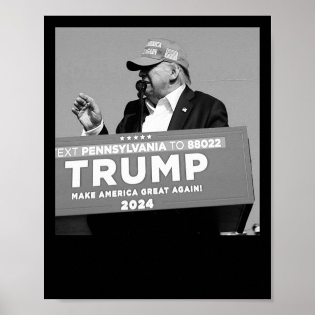 Poster À mi-vol de Trump (Devant)