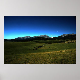 Poster A Montana Cattle Drive