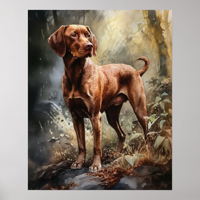 Poster à poils durs Vizsla Dog Art (Devant)