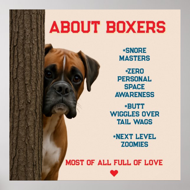 Poster À propos des boxers Amoureux et amusants Boxer Chi (Devant)